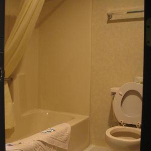 Standard Single King Room Jacuzzi