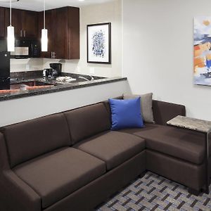 King Studio Suite Sofa Bed