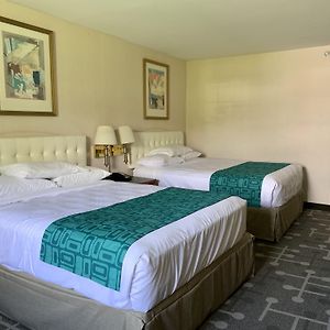 King Room Non-Smoking
