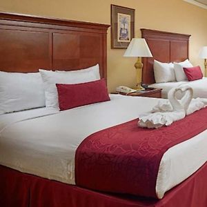 Queen Room