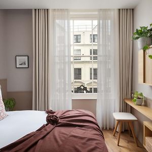 Cozy King Room