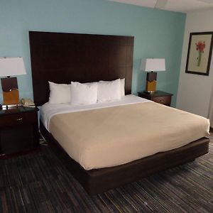 One-Bedroom King Suite