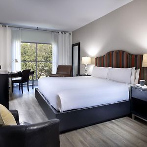 Family Grand Suite