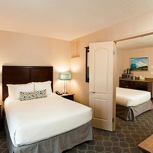 One-Bedroom King Suite