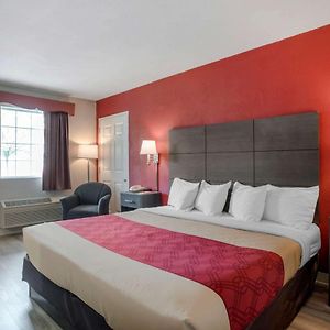 King Room Mobility accessible