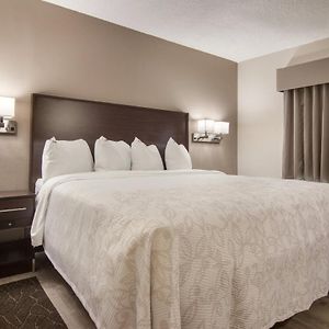 Standard King Room Disability Access