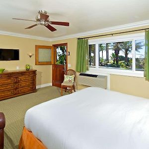 Luxury Mini Suite