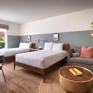 Gnarnia | Two Queen Sofa Bed