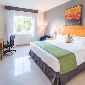King Room Mobility accessible
