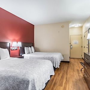 Standard Room Two Double Beds Smoke