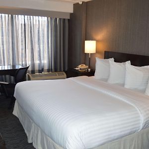 King Room Disability Access