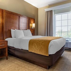 Queen Room Roll Shower Accessible or Non Smoking