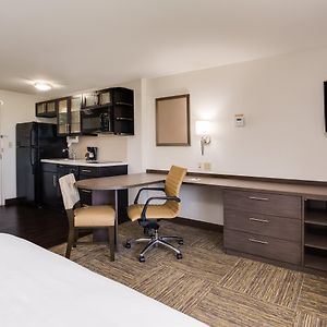 Studio Queen Suite