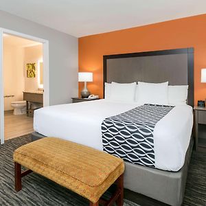 One-Bedroom King Suite