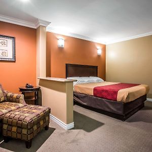King Studio Suite Non-Smoking