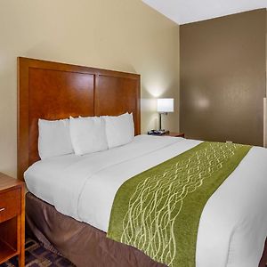 King Room Mobility accessible