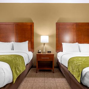 Queen Suite