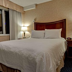 Queen Room Mobility accessible