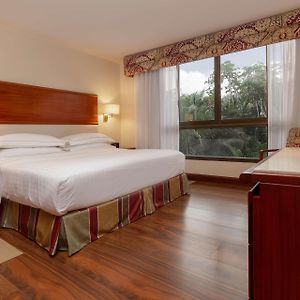 Premium King Suite