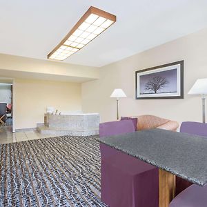 One-Bedroom King Suite