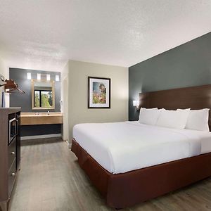 King Room Mobility accessible