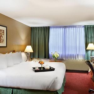 Club King Room