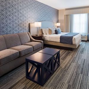 Large King Room Sofa Bed