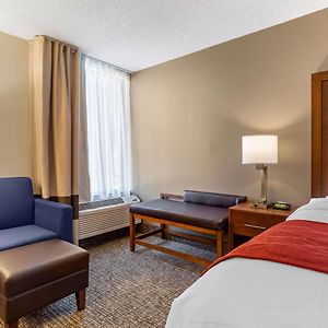 King Room Disability Access