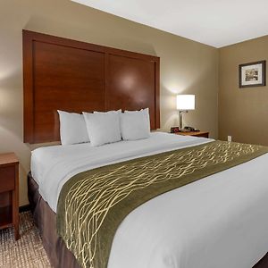 King Room Mobility accessible