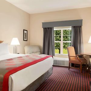 King Room Disability Access
