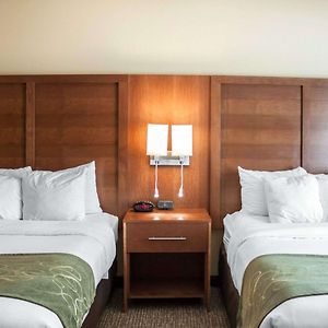 Queen Suite