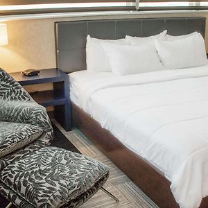 King Room Pet-Friendly