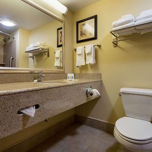 Queen Suite