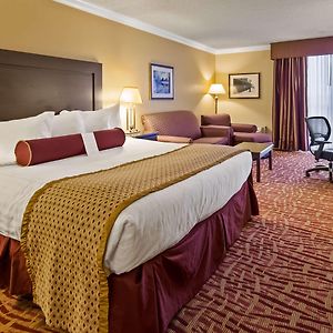 King Room Disability Access