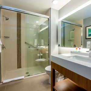 One-Bedroom Suite Roll Shower Disability Access