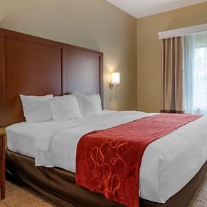 King Suite Mobility accessible