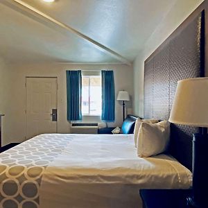 Superior King Suite Non smoking