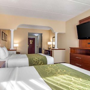 Queen Suite