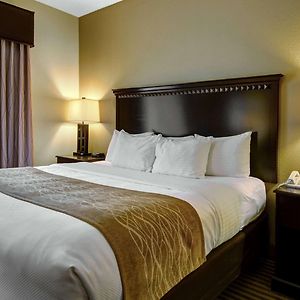 One Room King Suite