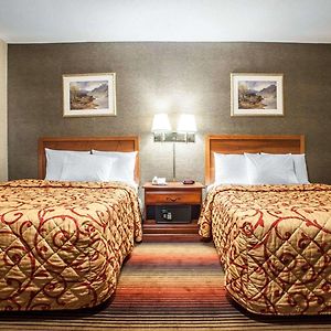 Queen Room Two Queen Beds Non-Smoking