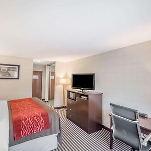 King Room Non-Smoking