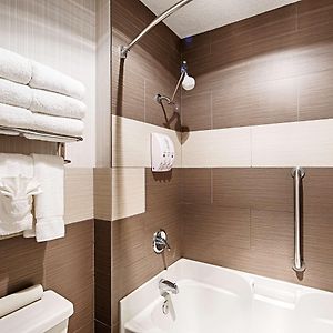 King Suite Sofa Bed Roll Shower Disability Access or Non-Smoking