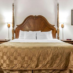 King Room Lake View