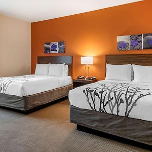 Suite One King Bed Two Queen Beds Accessible or Non-Smoking