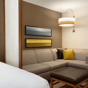 King Room Sofa Bed Roll Shower Disability Access