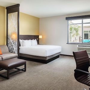 King Room Disability Access