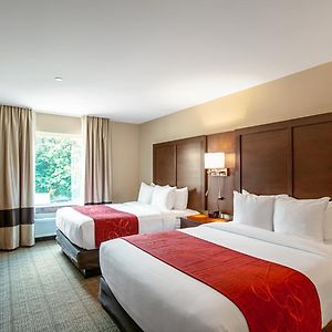 Large One Room Suite Two Queen Beds Non Smoking