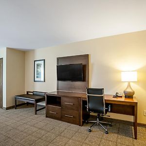 Queen Suite