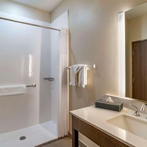 King Room Roll Shower Accessible or Non-Smoking