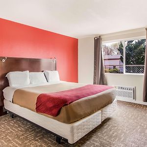 King Room Mobility accessible